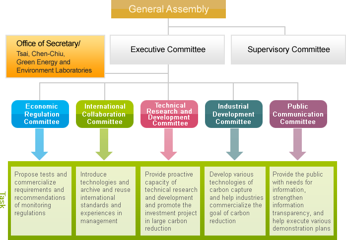 Organization Structure